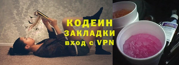 2c-b Гусев
