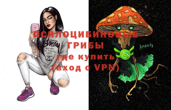 ALPHA PVP Гусь-Хрустальный