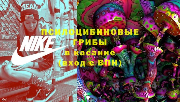 2c-b Гусев