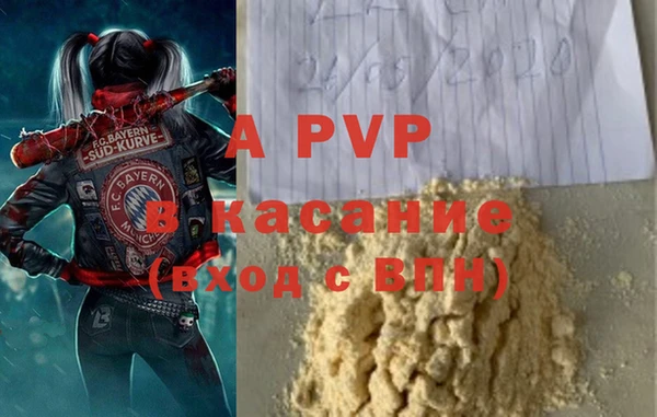 ГАЛЛЮЦИНОГЕННЫЕ ГРИБЫ Гусиноозёрск