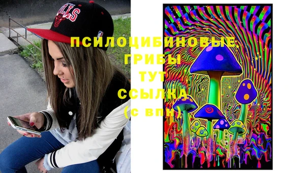 2c-b Гусев