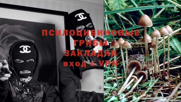 ГАЛЛЮЦИНОГЕННЫЕ ГРИБЫ Гусиноозёрск