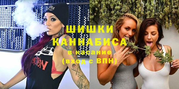 2c-b Гусев